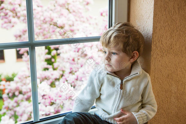可爱的小男孩看着窗外