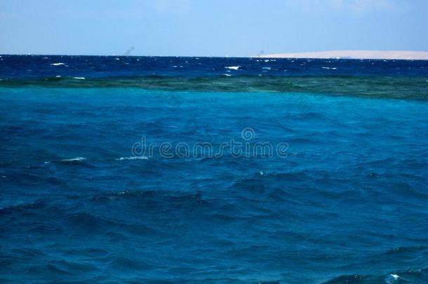 蓝色埃及自然红海海