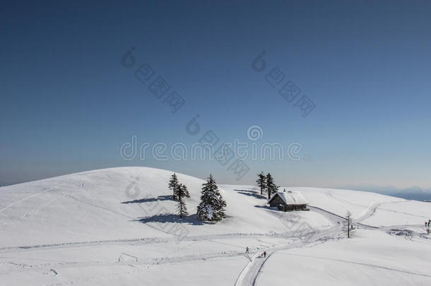 冬季雪景，树木和小屋