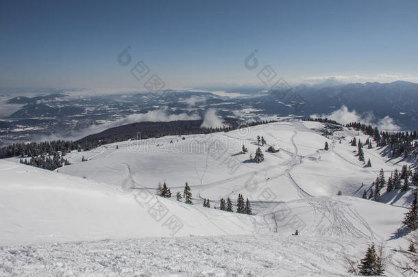 冬季雪景，树木和小屋