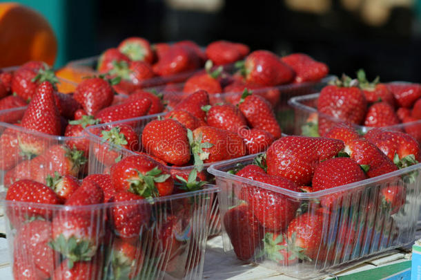 有机草莓上市