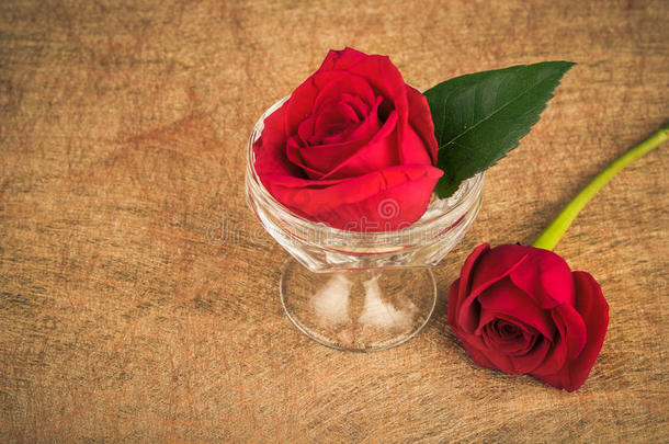 花瓶里的玫瑰，背景艺术，有<strong>文案</strong>空间