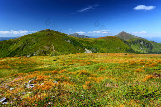 青山<strong>绿草</strong>，<strong>夏日</strong>风光