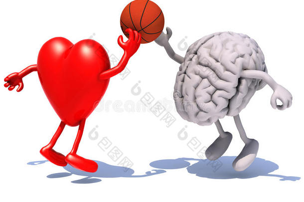 心和脑，胳膊和腿在打篮球