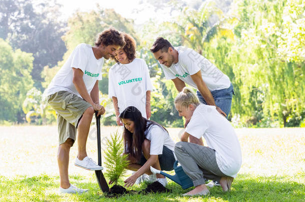 志愿者在公园植树