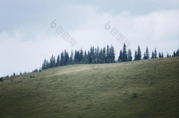 雨中的山野风光