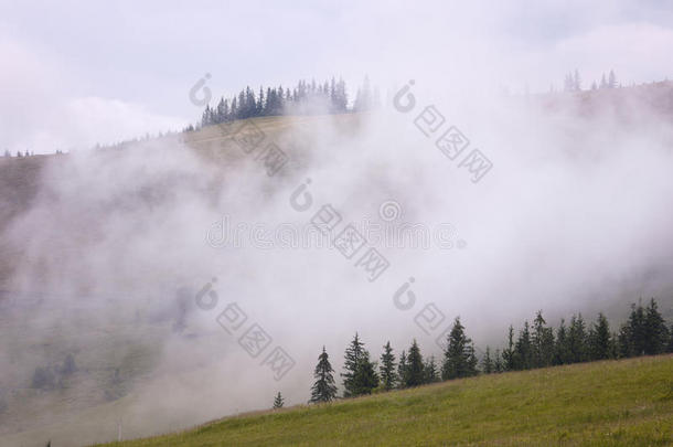 雨中的山野风光