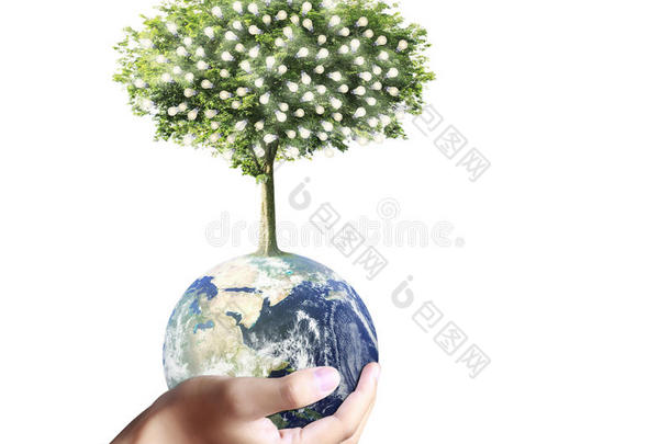 手里拿着一颗发光的地球仪和一棵树