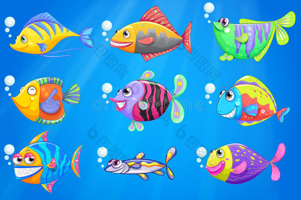 有一群五颜六色的鱼的海洋