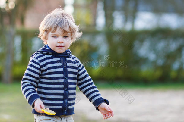 幼儿在户外游乐场玩耍的照片