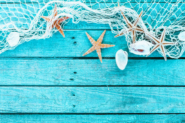 微妙的海洋边界的网，贝壳和海星