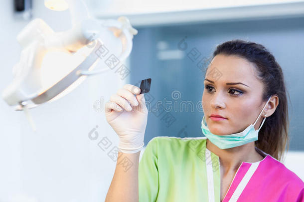 女牙医在看牙科X光片