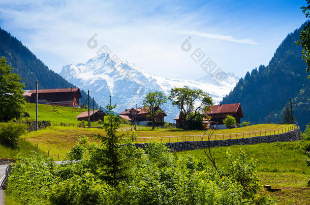 阿尔卑斯山附近有房子的传统乡村