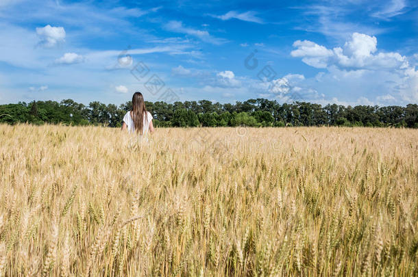 年轻女子走过金色的杂草地。阿根廷乡村。
