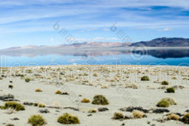 沃克湖全景