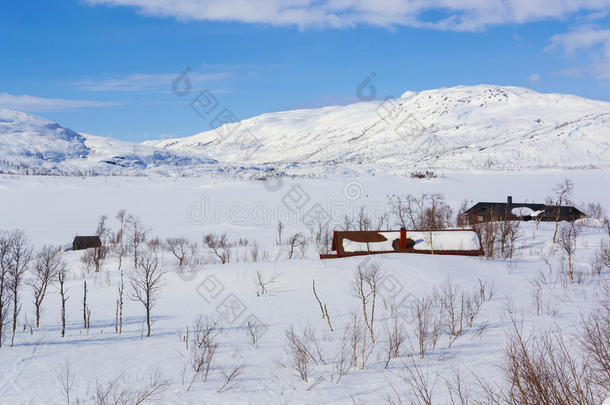 冬季挪威山区的冬季风景。