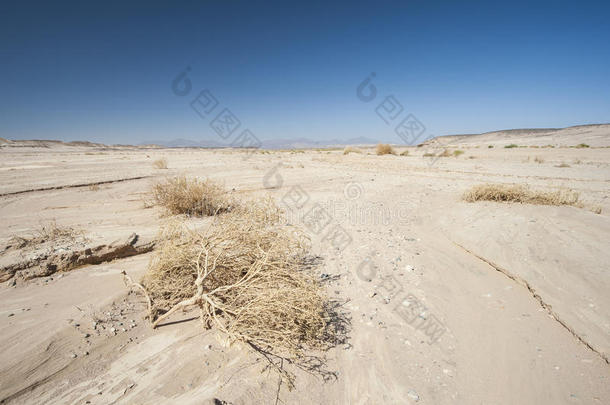 炎热气候下贫瘠的沙漠景观
