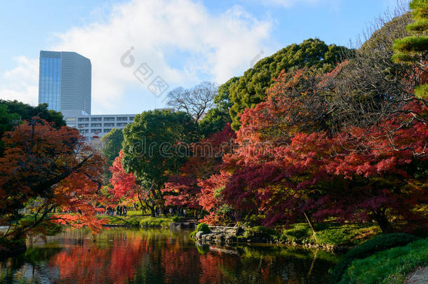 东京秋日的小川korakuen花园