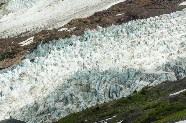 科尔曼冰川。