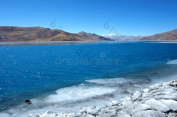 藏羊卓雍错湖，
