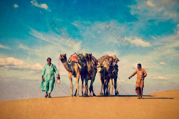 两个<strong>骆驼</strong>在塔尔德塞的沙丘上