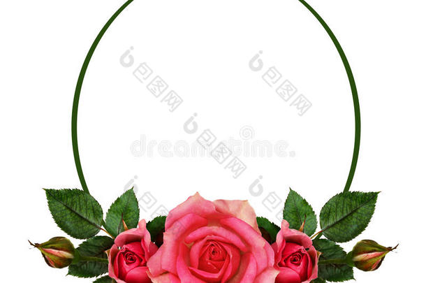 玫瑰花构图和椭圆形边框