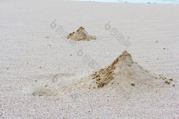金字塔形的沙子，在沙滩上挖了一只螃蟹