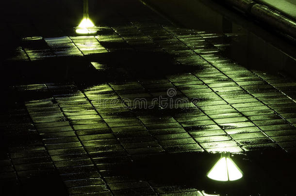 雨夜桥上路灯的倒影