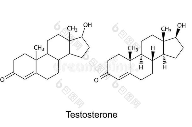 睾酮分子的结构式