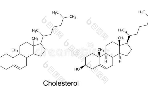胆固醇分子的结构式