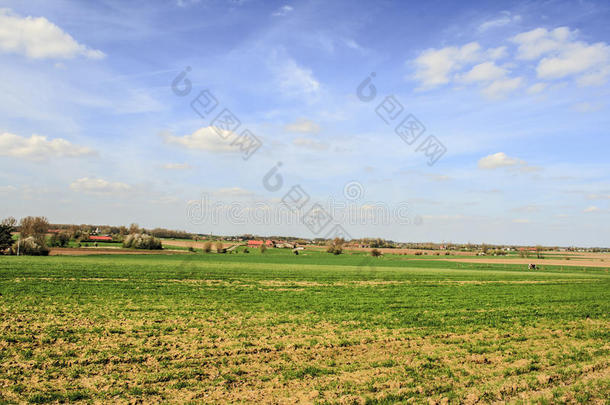佛兰德斯田野景观比利时天空和云朵农场