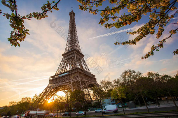 法国巴黎的埃菲尔铁塔和春天的树
