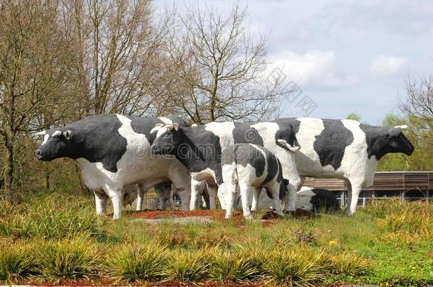 荷兰伊姆内斯牧场上的荷兰奶牛艺术品
