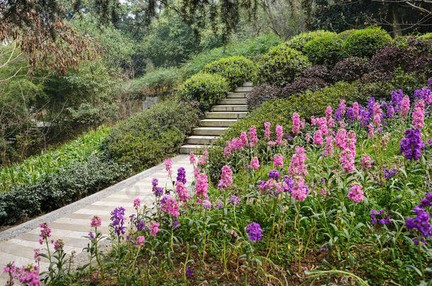 山坡上开满鲜花的台阶