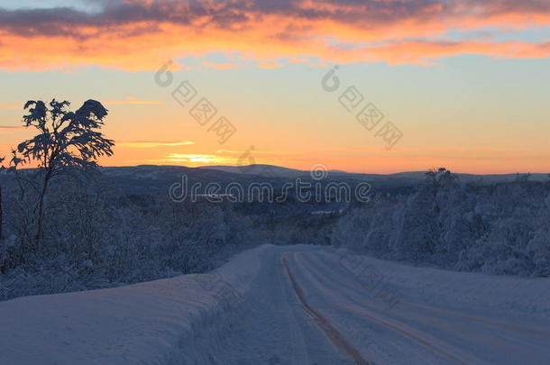 极夜过后，在白雪皑皑的北方冬季森林里，道路上的第<strong>一缕</strong>阳光