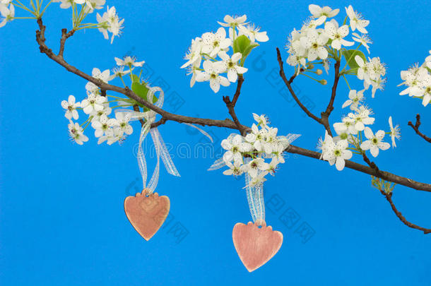 梨树枝头挂着粉红色的心形花
