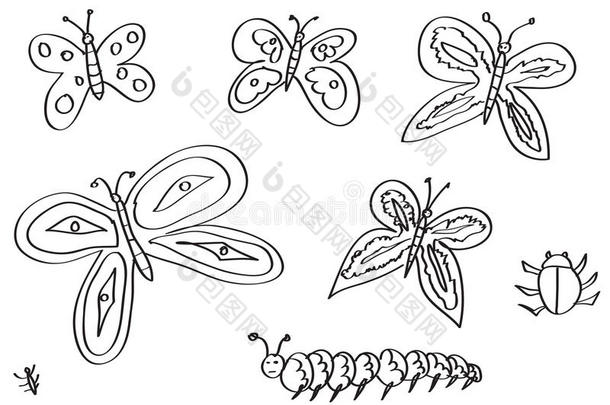 手工绘制的蝴蝶、飞蛾和其他昆虫