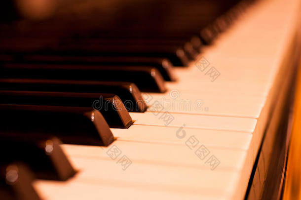 钢琴键特写