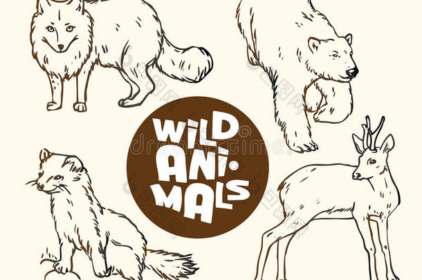 一套野生动物：狐狸，熊，貂和鱼卵