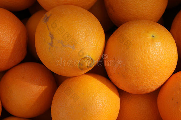 脐橙、柑橘