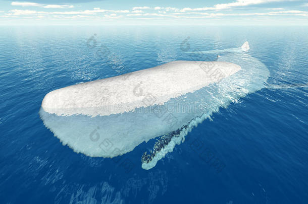 抹香鲸