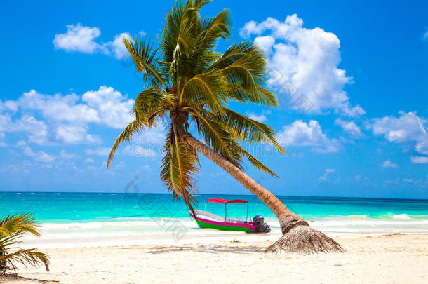 度假和旅游理念：加勒比海天堂。