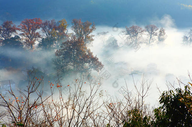 雾中的中国村庄