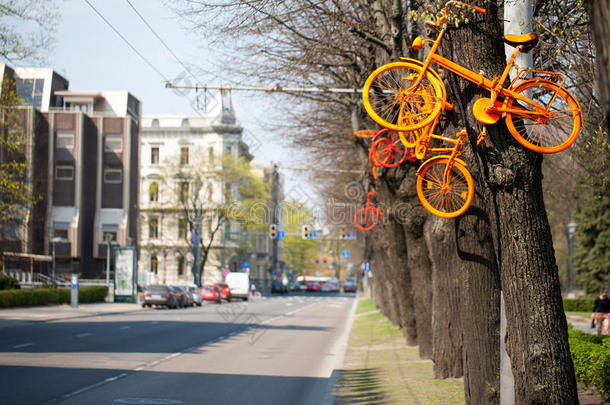 自行车挂在树上