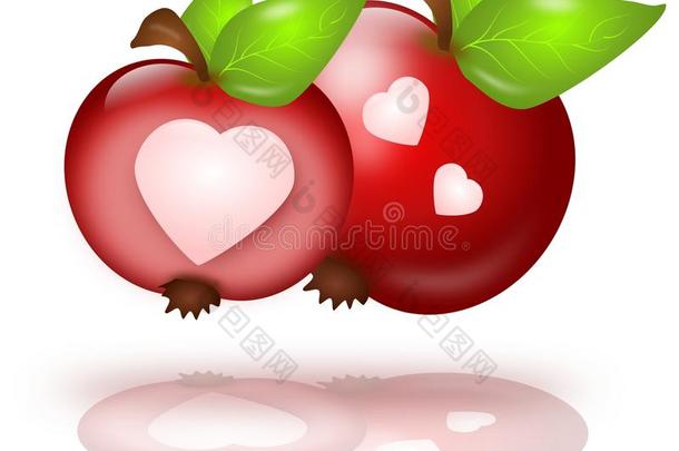 两个心形苹果