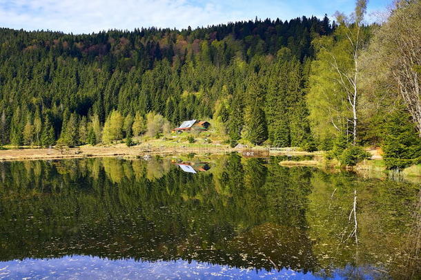 kleiner arbersee是德国巴伐利亚州巴伐利亚州巴伐利亚州的一个湖泊