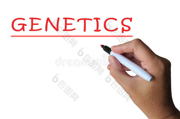 基因词显示了基因的组成和