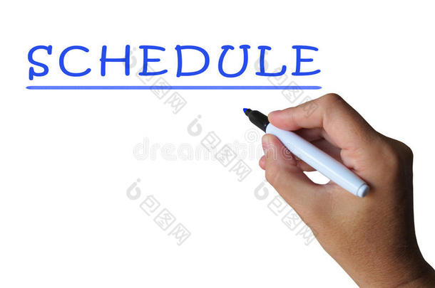 schedule word显示计划时间和任务