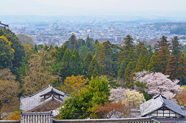 樱花季京都城
