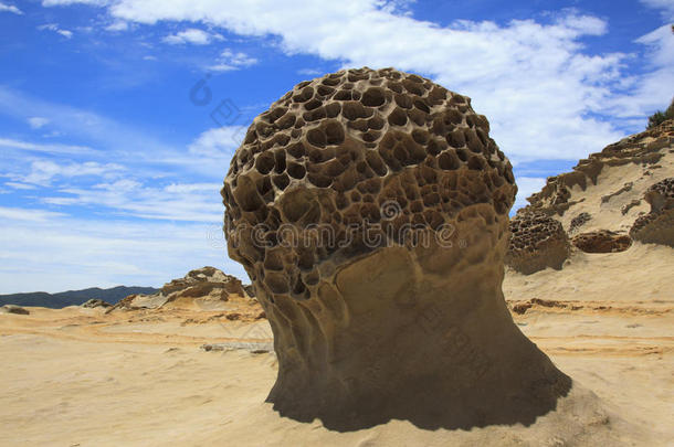野柳地质公园台湾蘑菇岩组